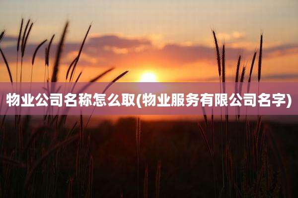物业公司名称怎么取(物业服务有限公司名字)