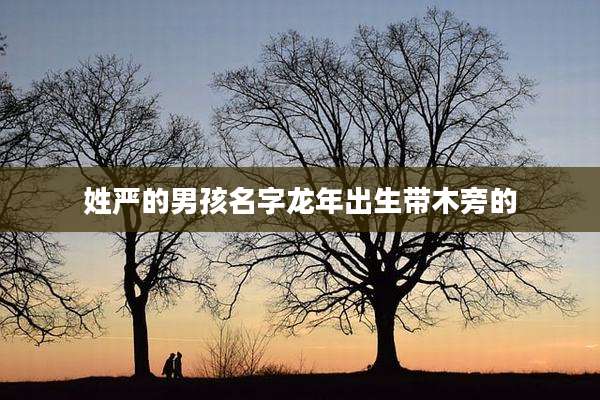 姓严的男孩名字龙年出生带木旁的