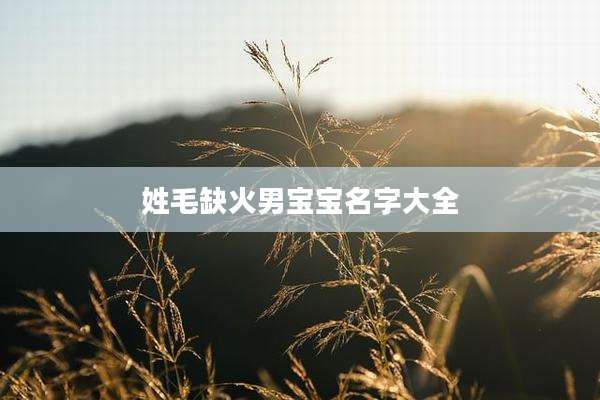 姓毛缺火男宝宝名字大全