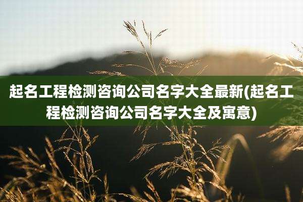 起名工程检测咨询公司名字大全最新(起名工程检测咨询公司名字大全及寓意)