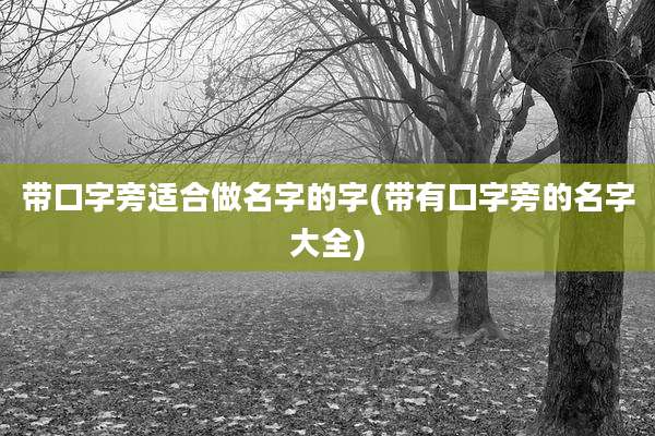 带口字旁适合做名字的字(带有口字旁的名字大全)