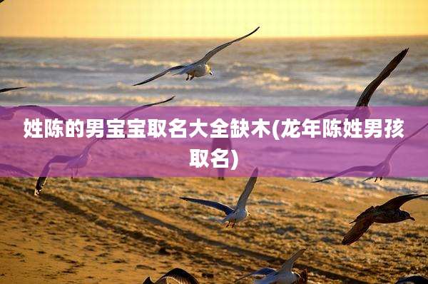 姓陈的男宝宝取名大全缺木(龙年陈姓男孩取名)