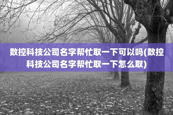 数控科技公司名字帮忙取一下可以吗(数控科技公司名字帮忙取一下怎么取)