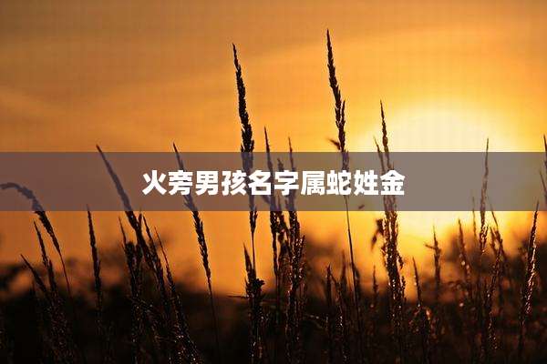 火旁男孩名字属蛇姓金