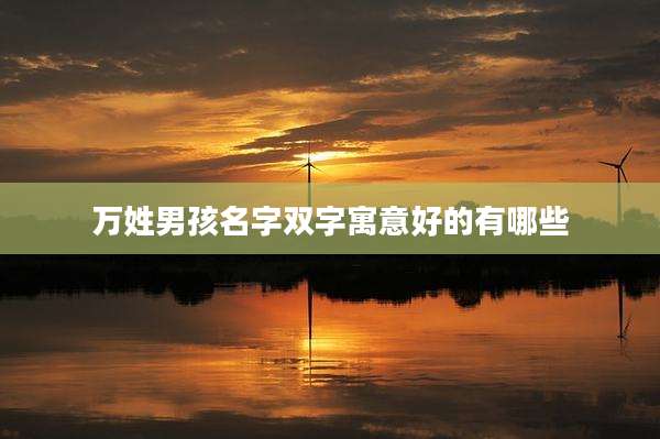 万姓男孩名字双字寓意好的有哪些