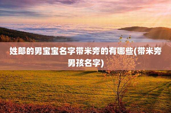 姓郎的男宝宝名字带米旁的有哪些(带米旁男孩名字)
