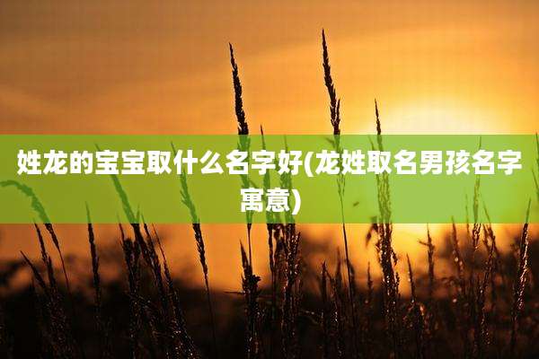 姓龙的宝宝取什么名字好(龙姓取名男孩名字寓意)