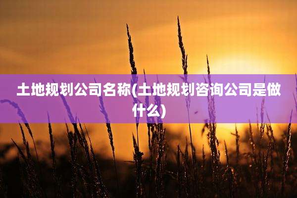 土地规划公司名称(土地规划咨询公司是做什么)