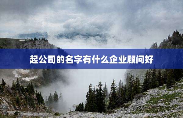 起公司的名字有什么企业顾问好
