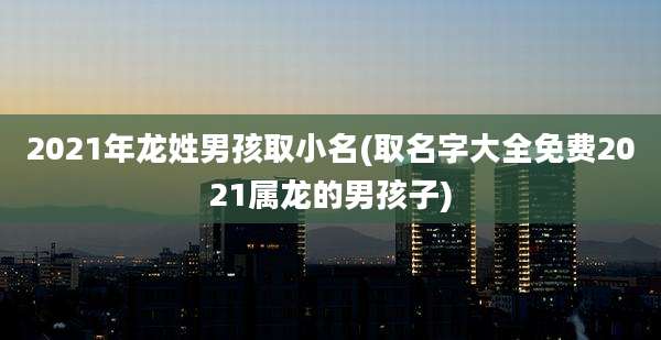 2021年龙姓男孩取小名(取名字大全免费2021属龙的男孩子)