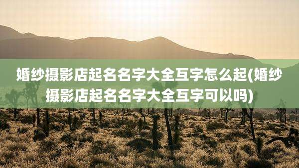 婚纱摄影店起名名字大全互字怎么起(婚纱摄影店起名名字大全互字可以吗)