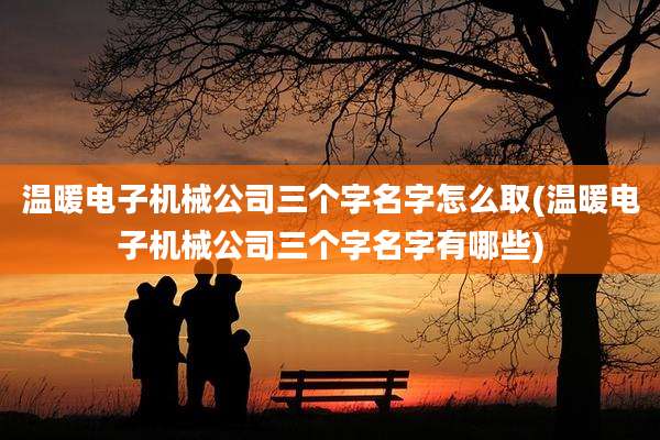温暖电子机械公司三个字名字怎么取(温暖电子机械公司三个字名字有哪些)