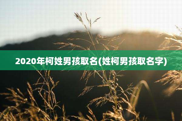 2020年柯姓男孩取名(姓柯男孩取名字)