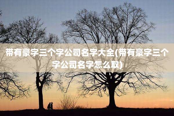 带有豪字三个字公司名字大全(带有豪字三个字公司名字怎么取)