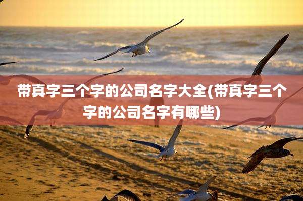 带真字三个字的公司名字大全(带真字三个字的公司名字有哪些)