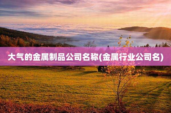 大气的金属制品公司名称(金属行业公司名)