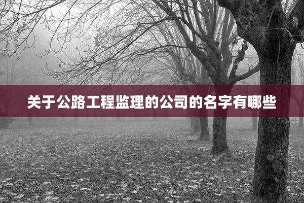 关于公路工程监理的公司的名字有哪些