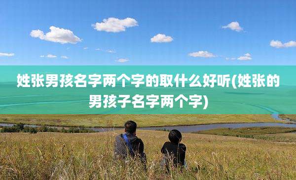 姓张男孩名字两个字的取什么好听(姓张的男孩子名字两个字)