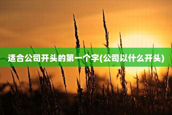 适合公司开头的第一个字(公司以什么开头)