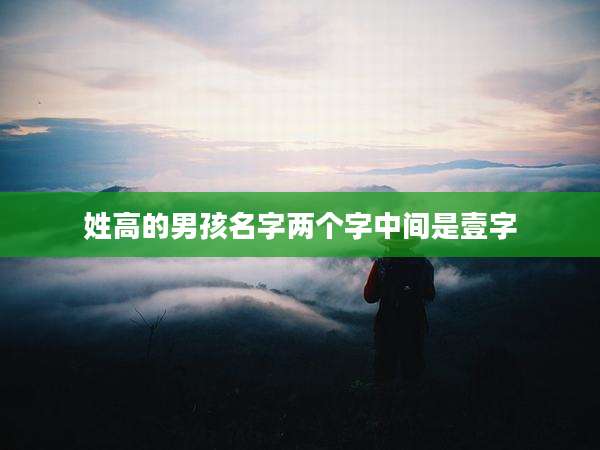姓高的男孩名字两个字中间是壹字