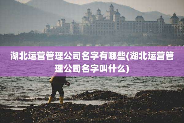 湖北运营管理公司名字有哪些(湖北运营管理公司名字叫什么)