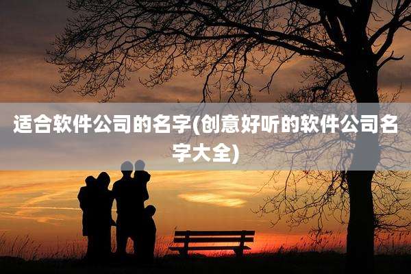 适合软件公司的名字(创意好听的软件公司名字大全)