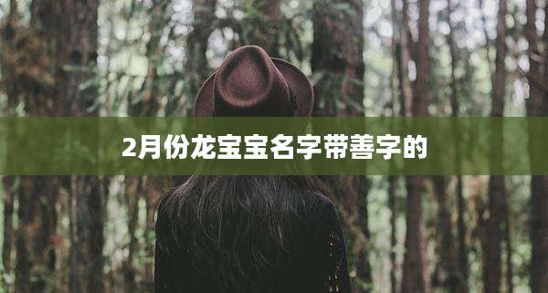 2月份龙宝宝名字带善字的