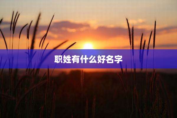 职姓有什么好名字
