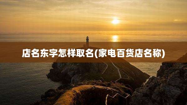 店名东字怎样取名(家电百货店名称)