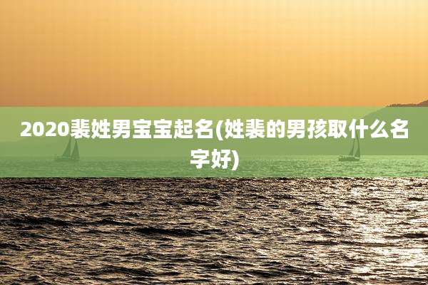 2020裴姓男宝宝起名(姓裴的男孩取什么名字好)