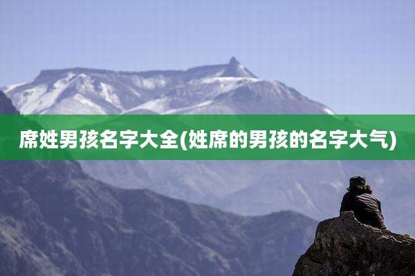 席姓男孩名字大全(姓席的男孩的名字大气)