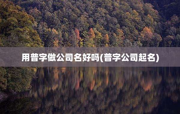 用普字做公司名好吗(普字公司起名)