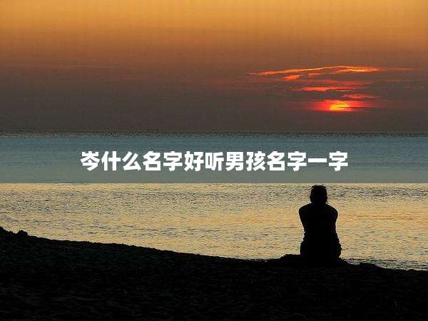 岑什么名字好听男孩名字一字
