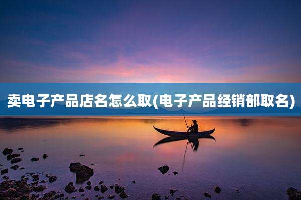 卖电子产品店名怎么取(电子产品经销部取名)