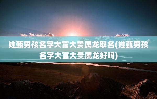 姓甄男孩名字大富大贵属龙取名(姓甄男孩名字大富大贵属龙好吗)