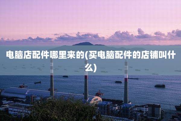 电脑店配件哪里来的(买电脑配件的店铺叫什么)