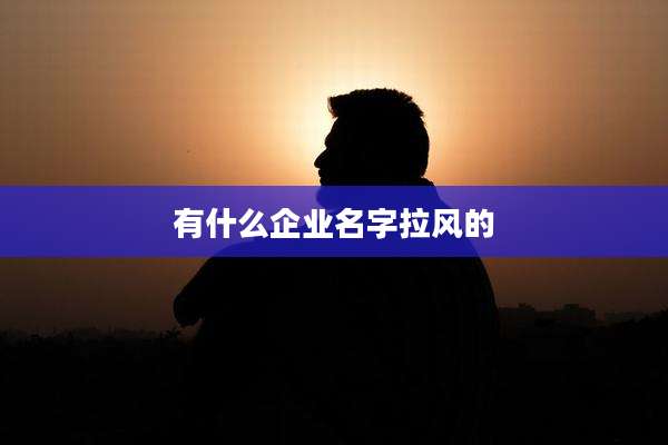 有什么企业名字拉风的