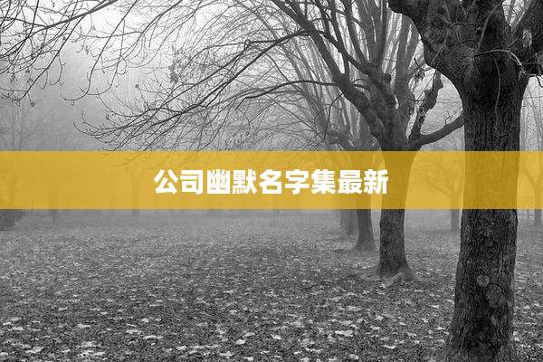 公司幽默名字集最新