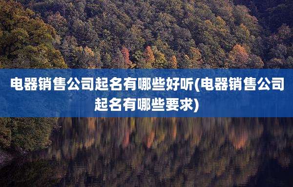 电器销售公司起名有哪些好听(电器销售公司起名有哪些要求)