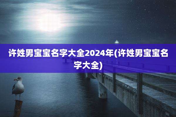 许姓男宝宝名字大全2024年(许姓男宝宝名字大全)