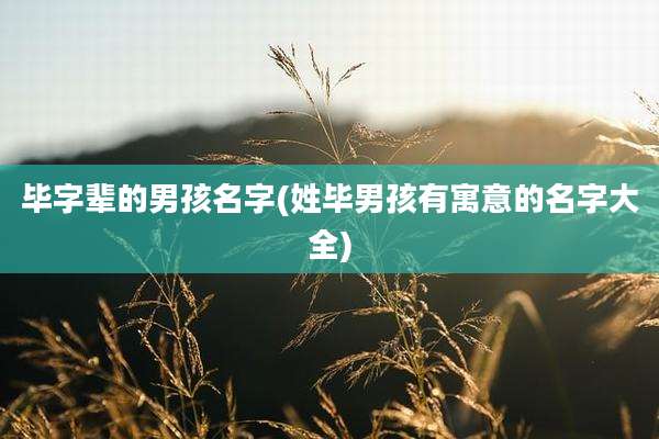 毕字辈的男孩名字(姓毕男孩有寓意的名字大全)