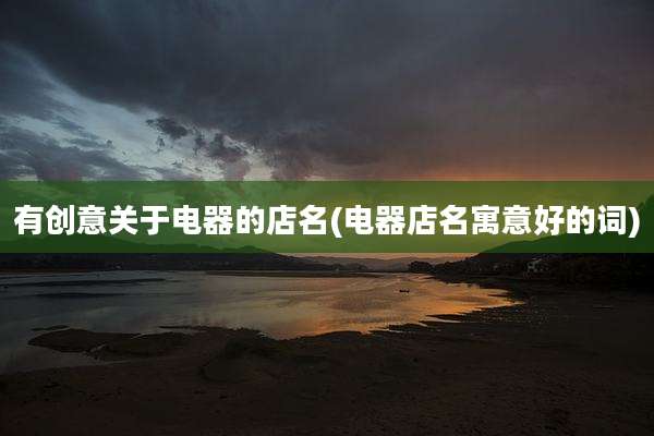 有创意关于电器的店名(电器店名寓意好的词)