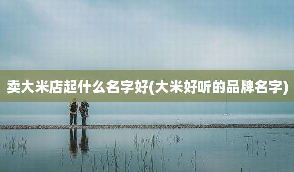 卖大米店起什么名字好(大米好听的品牌名字)
