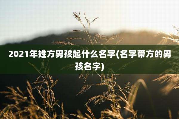 2021年姓方男孩起什么名字(名字带方的男孩名字)
