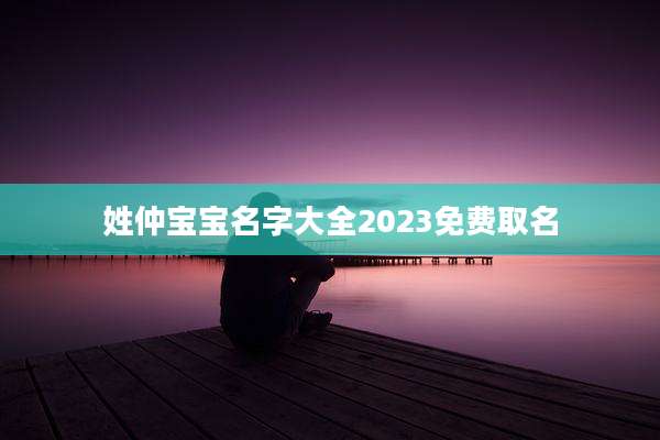 姓仲宝宝名字大全2023免费取名