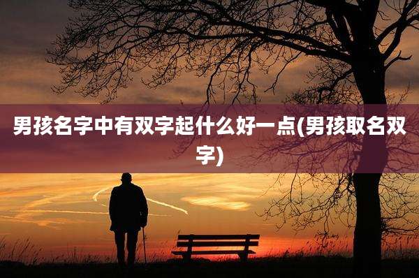 男孩名字中有双字起什么好一点(男孩取名双字)