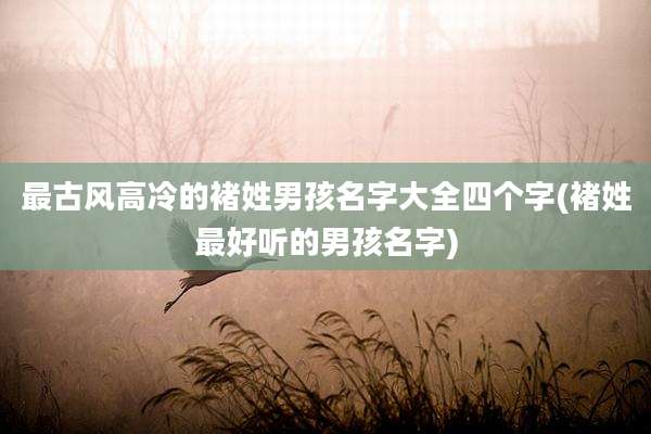 最古风高冷的褚姓男孩名字大全四个字(褚姓最好听的男孩名字)