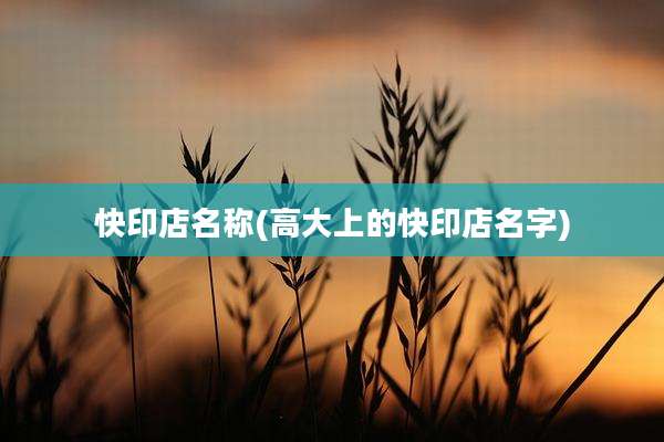 快印店名称(高大上的快印店名字)