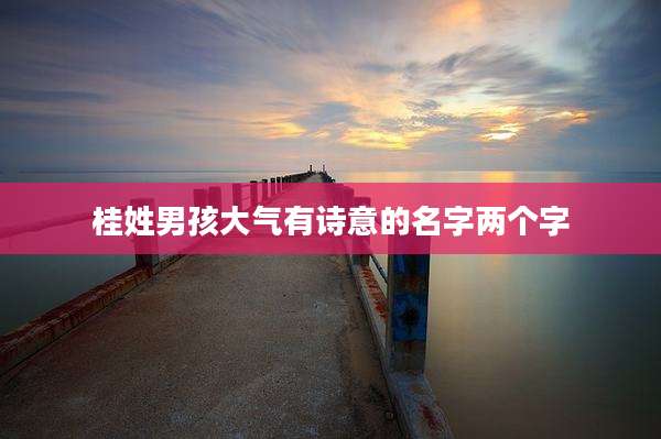 桂姓男孩大气有诗意的名字两个字