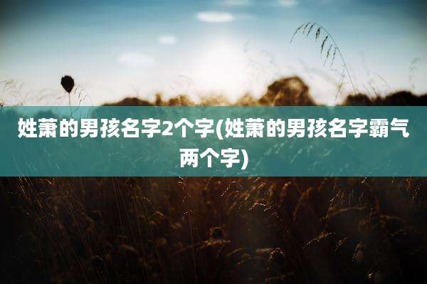 姓萧的男孩名字2个字(姓萧的男孩名字霸气两个字)